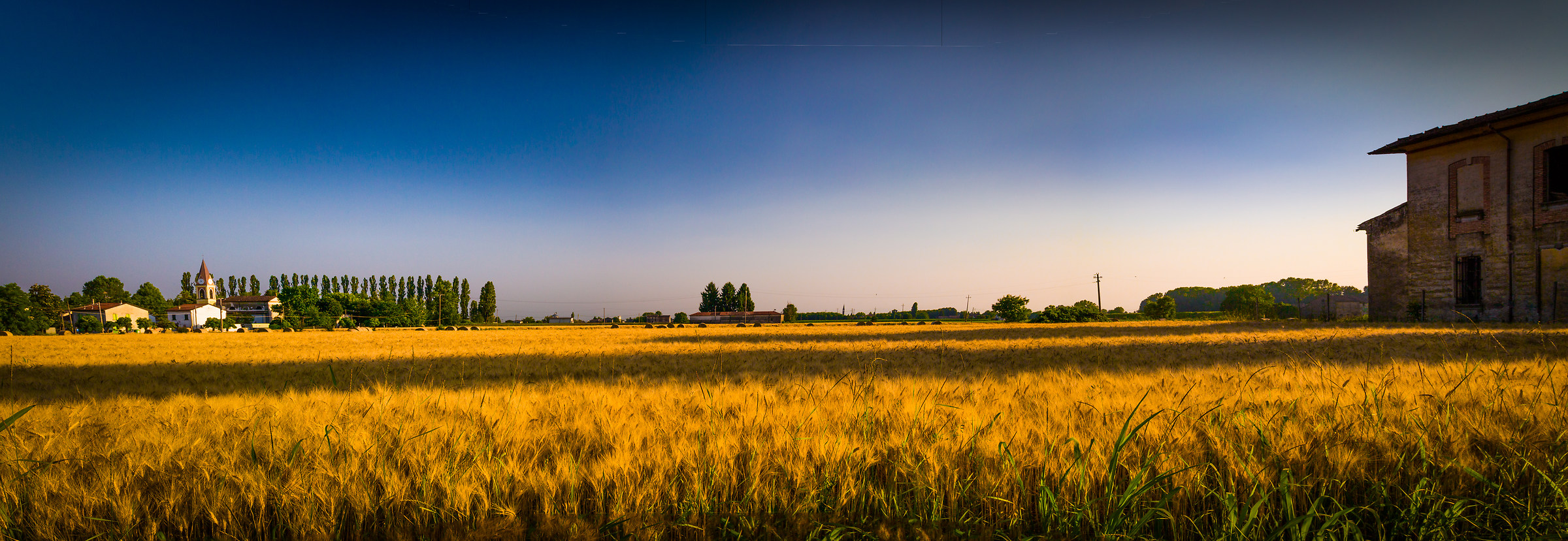 Stagno di Roccabianca