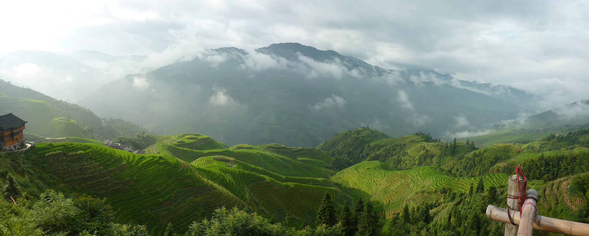 Rice fields of the dorsal dragon Spina (Longji) _Panorama