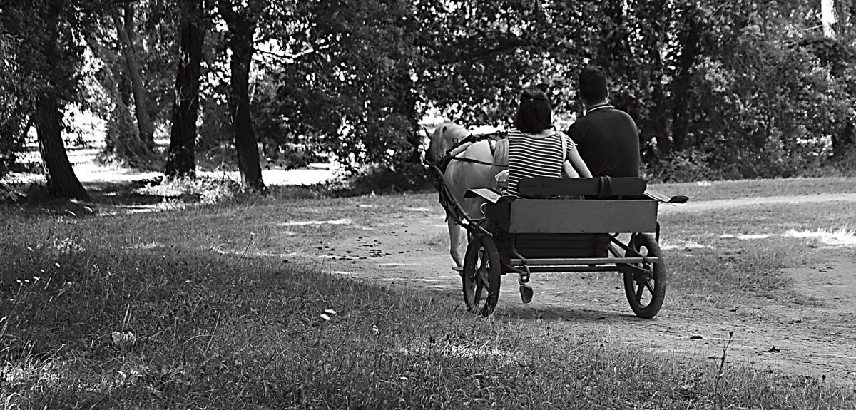 I thought it was a rather buggy was love .....