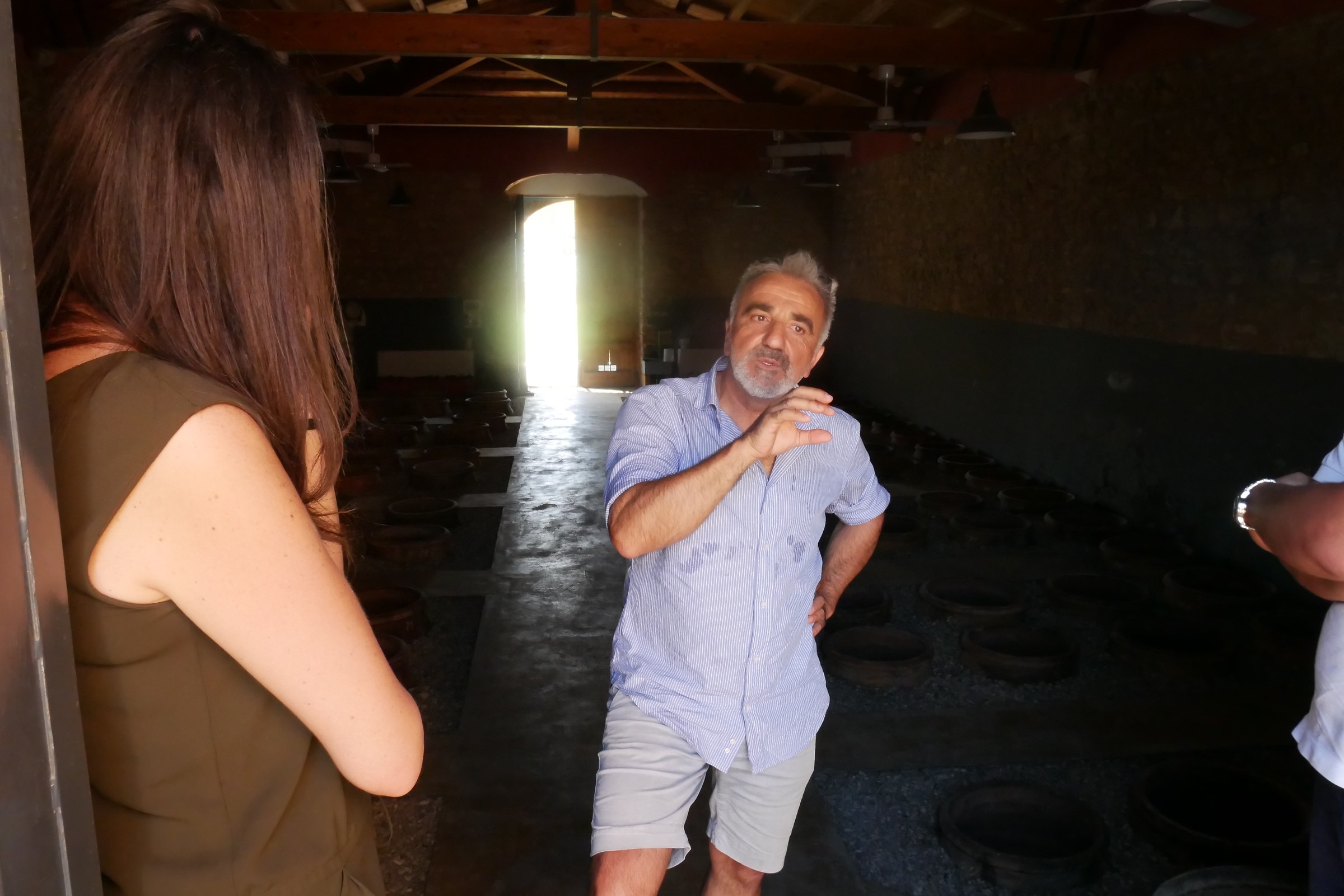 Un vigneron fra le anfore