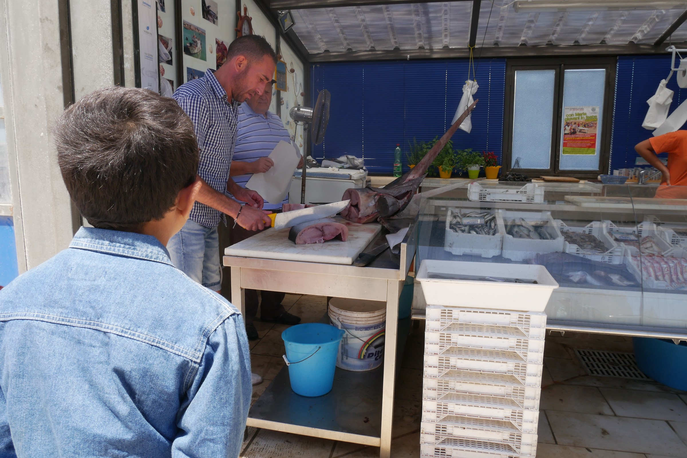 Occhio al pescespada