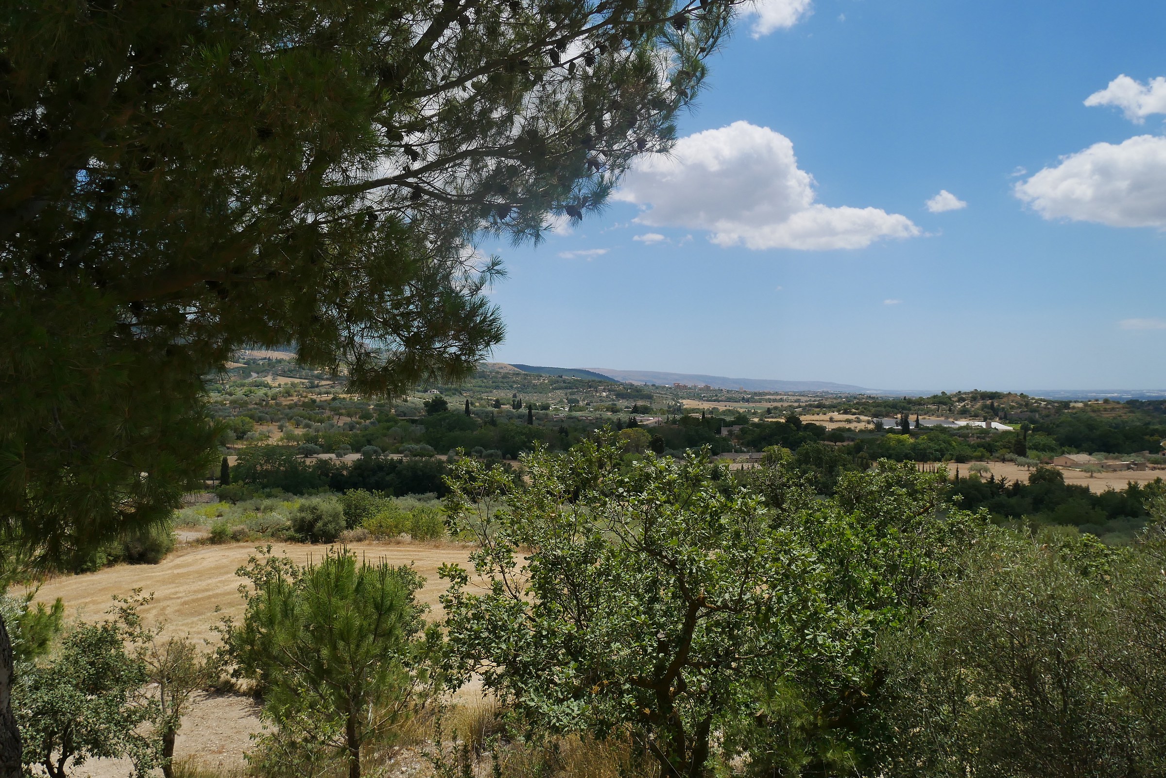In campagna a Chiaramonte Gulfi