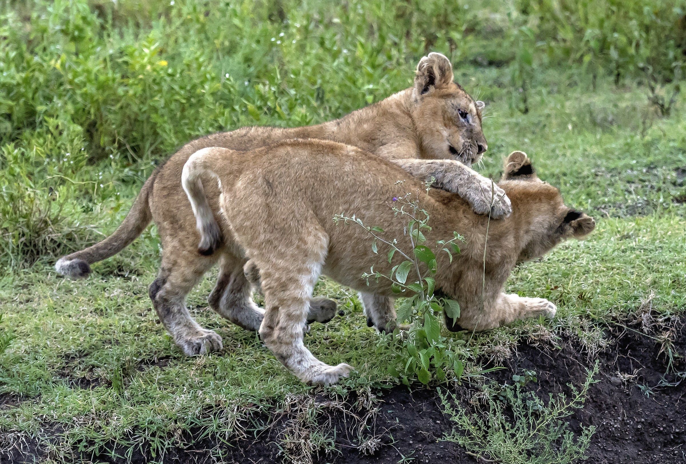 Tanzania 2016 - Giochi