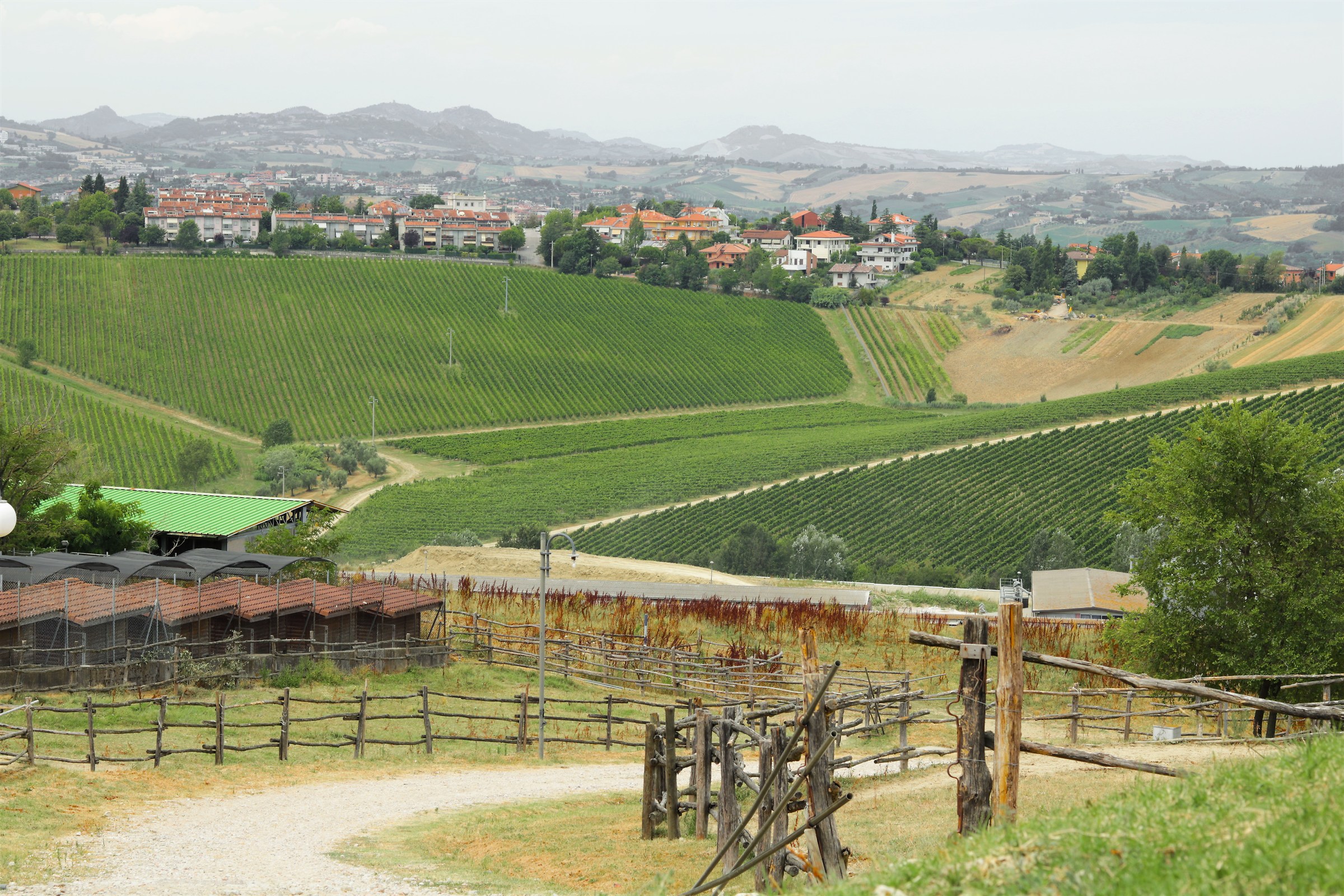 The beautiful hills of San Patrigniano.