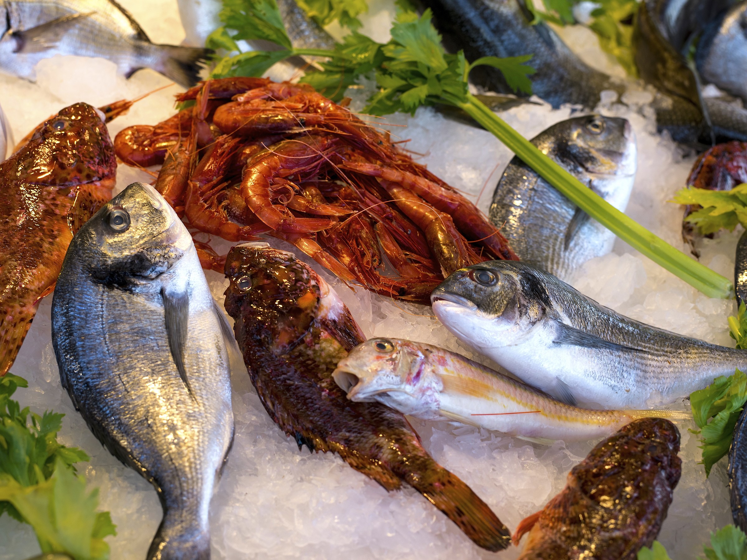 fish "La Cala" Palermo