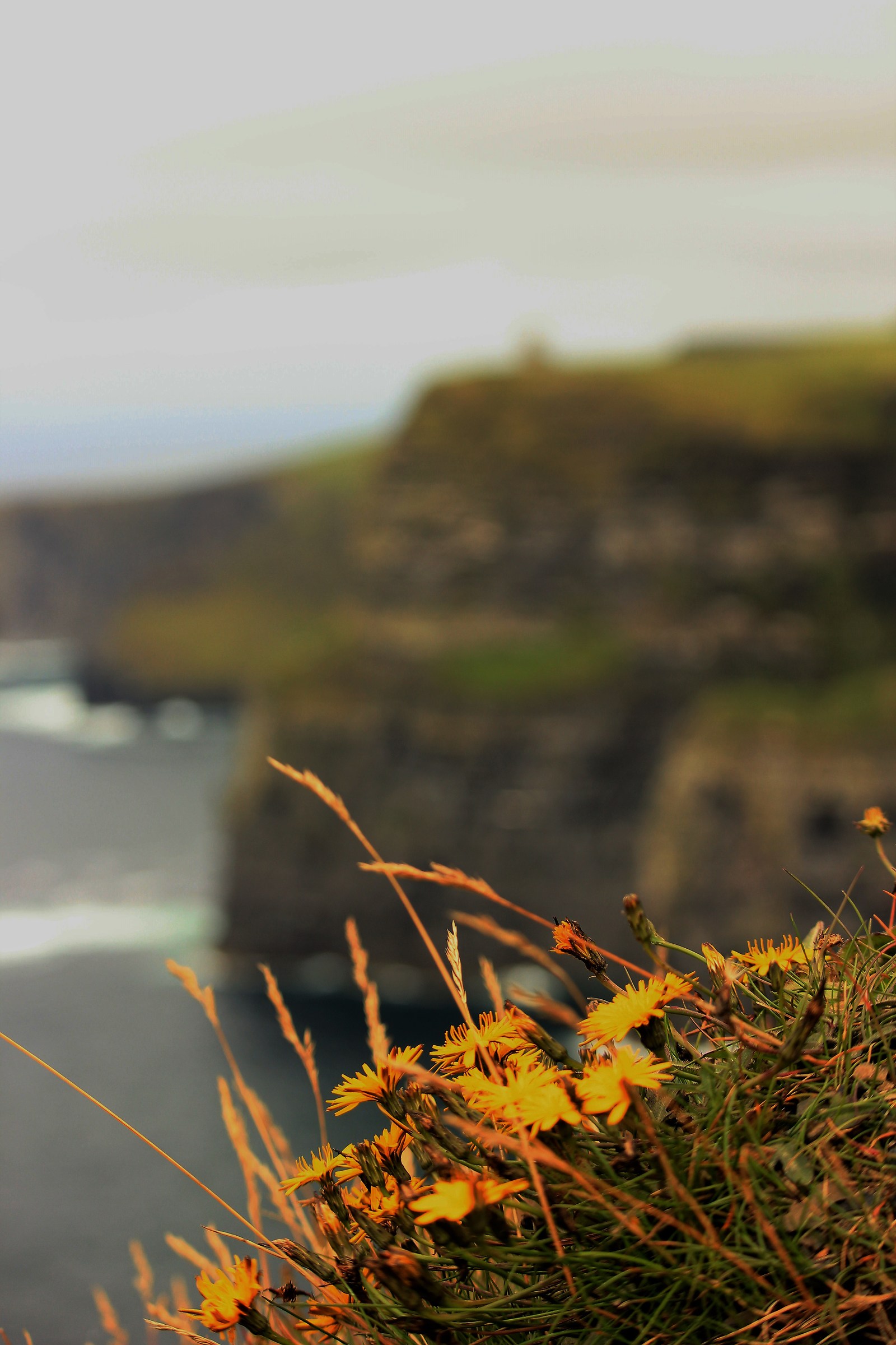 cliffs of moher photo1