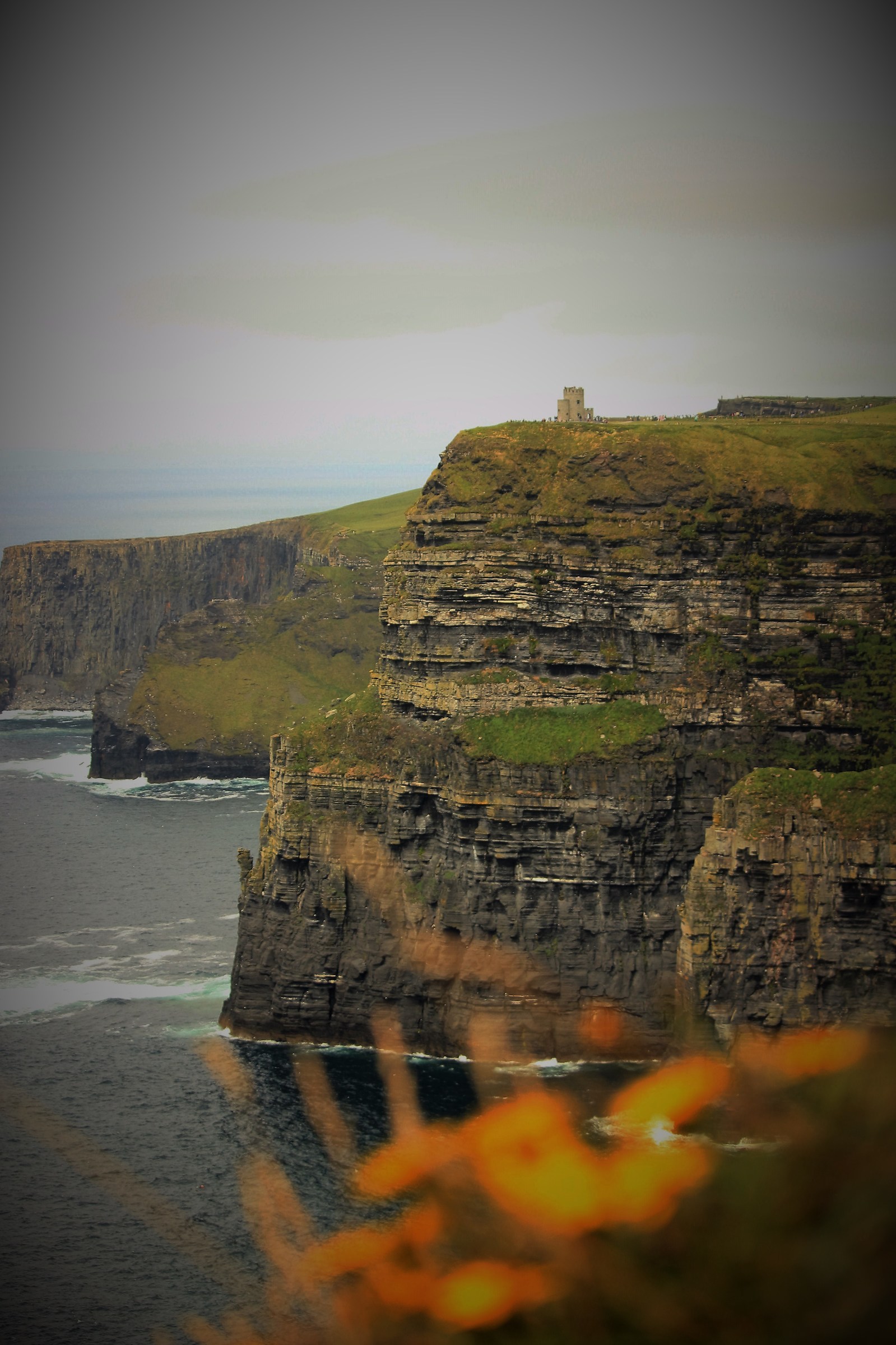 cliffs of moher photo9