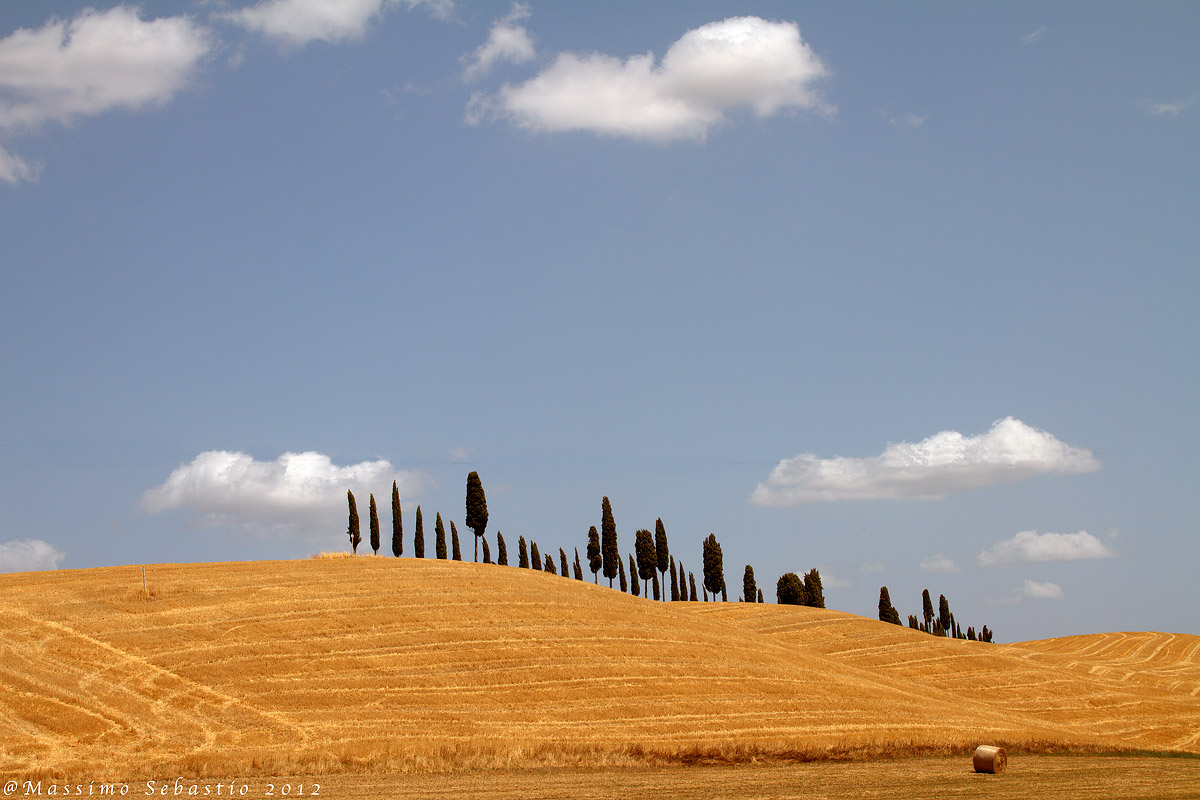 Colline di Montaione