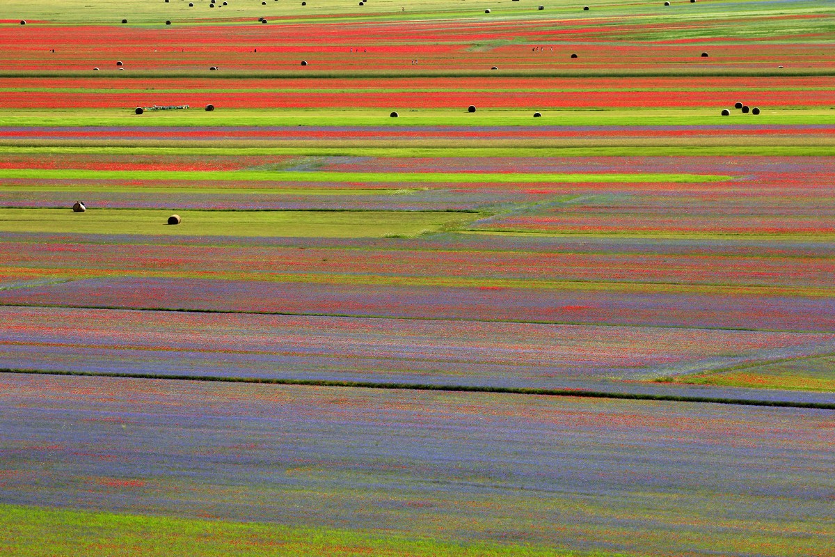 United colors of .... Castelluccio