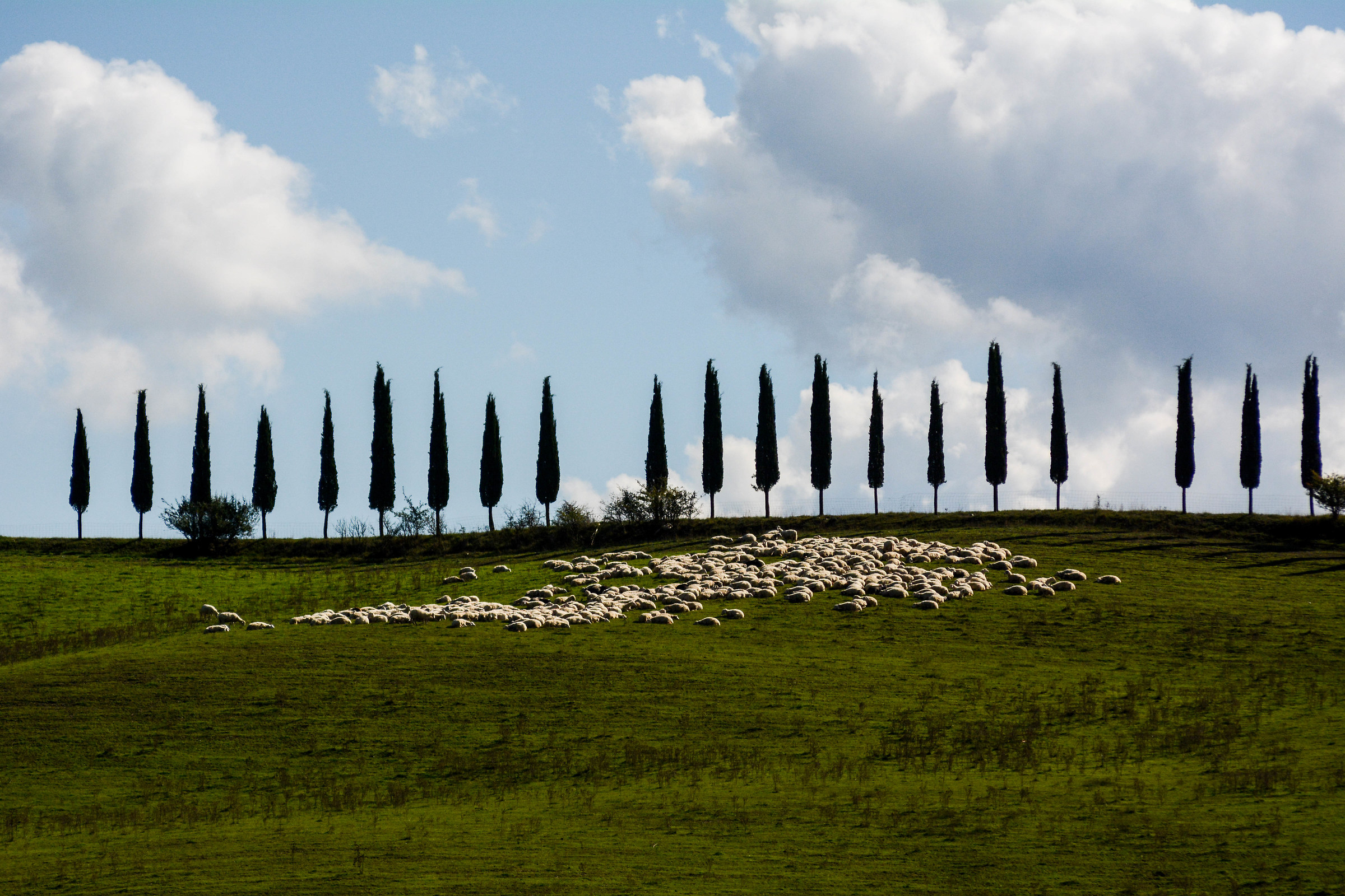 sulla strada per murlo