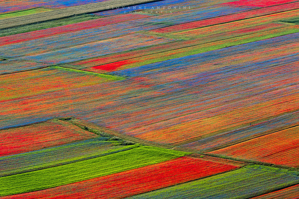Castelluccio texture