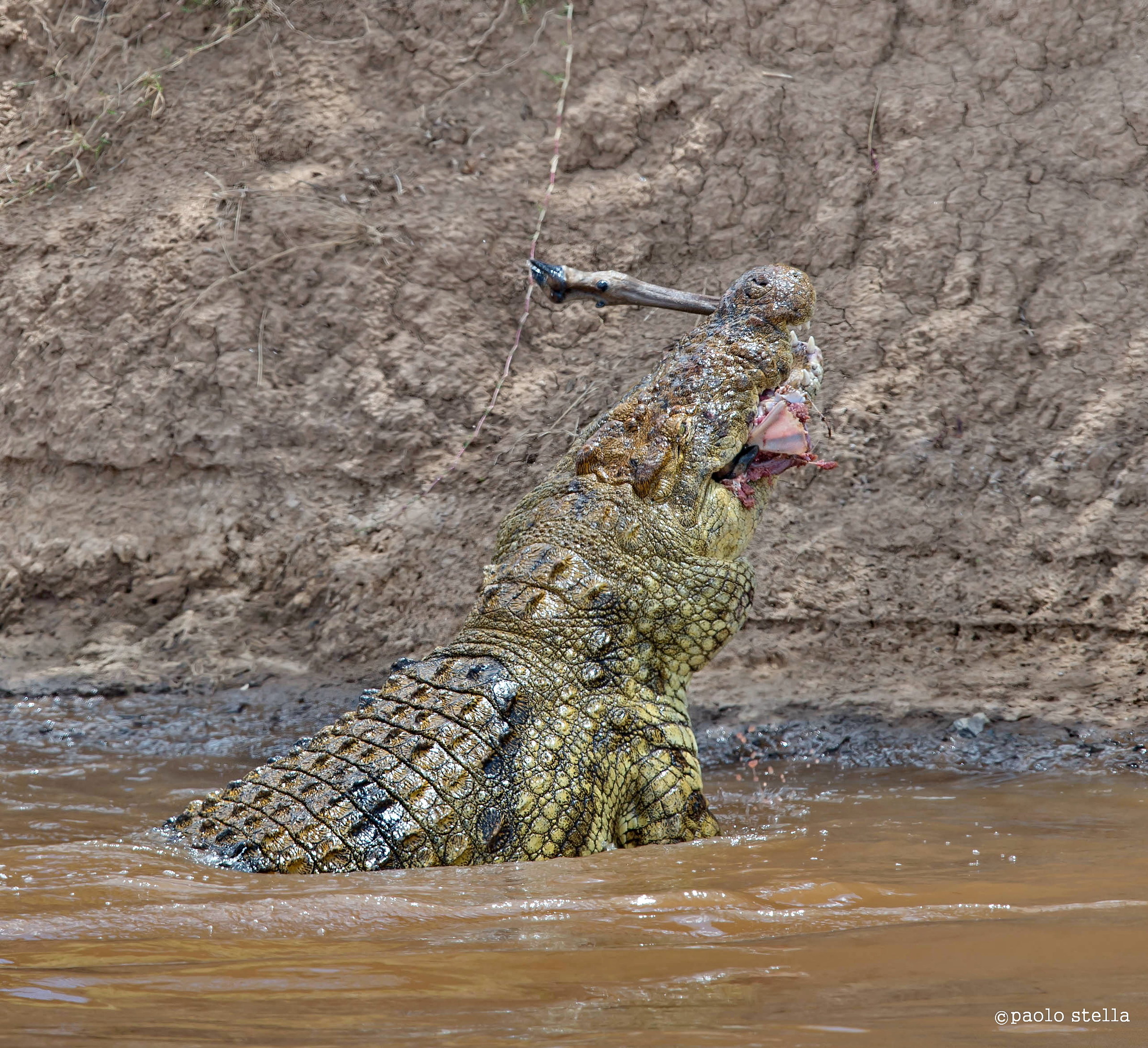 one gulp ... continue