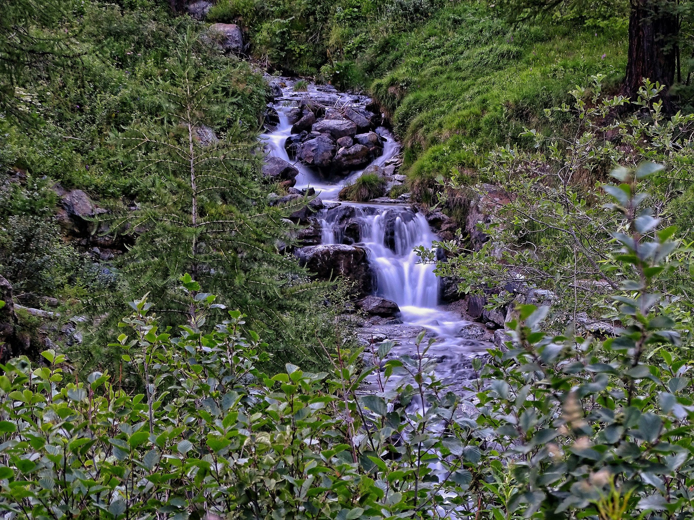 riuscello di montagan