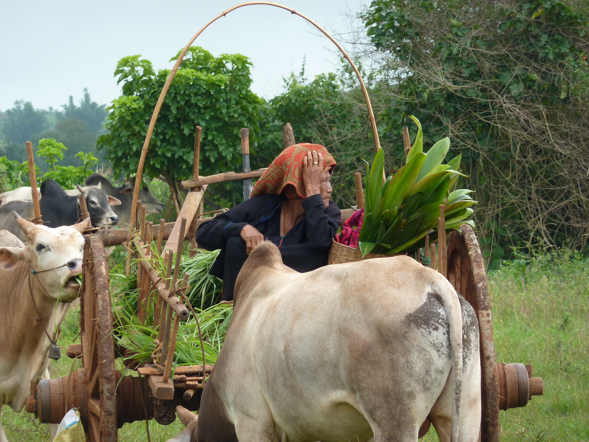 Nyaung Shwe-Kakku_Mercato
