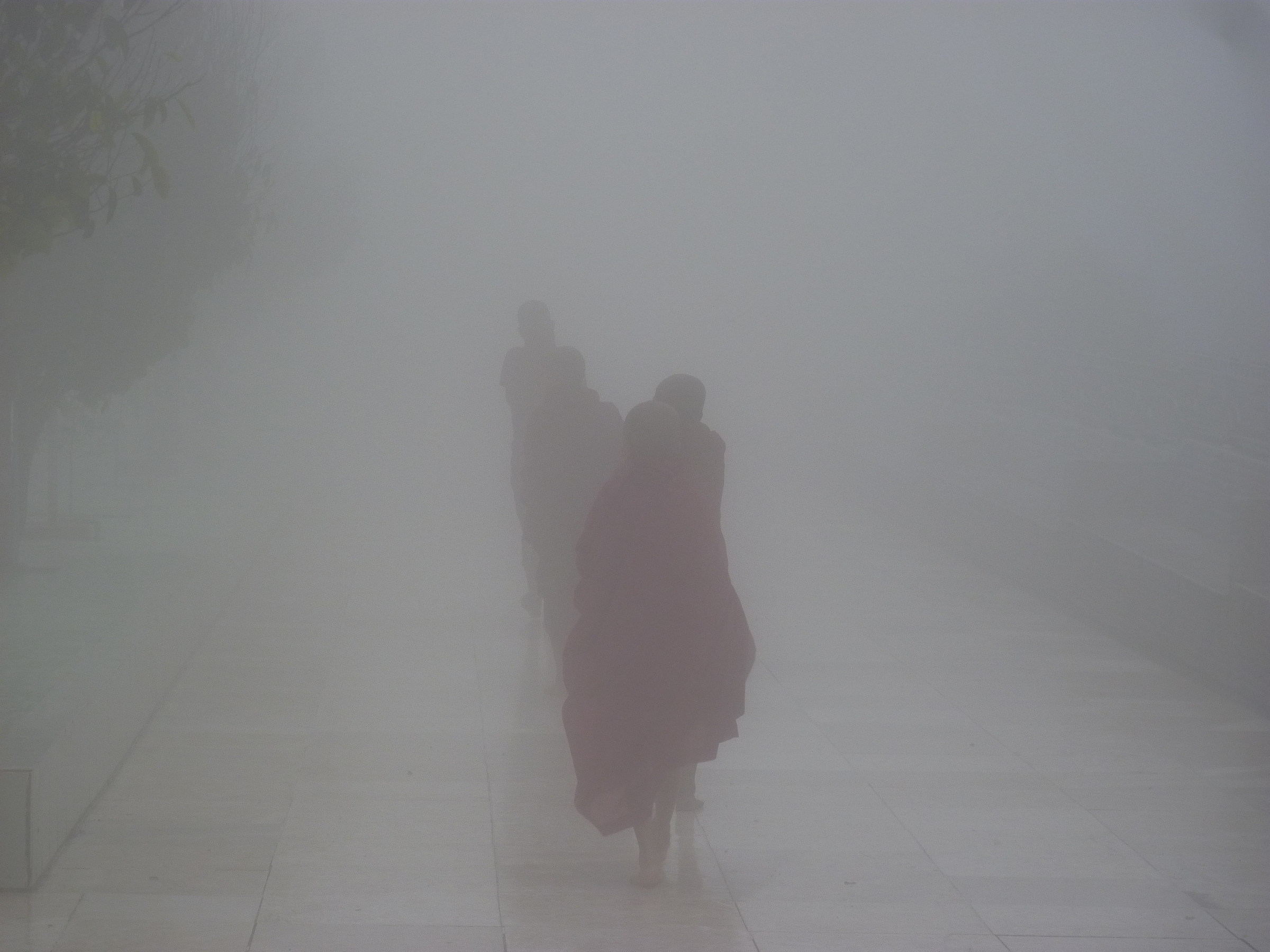 Golden Rock_Monaci in the fog