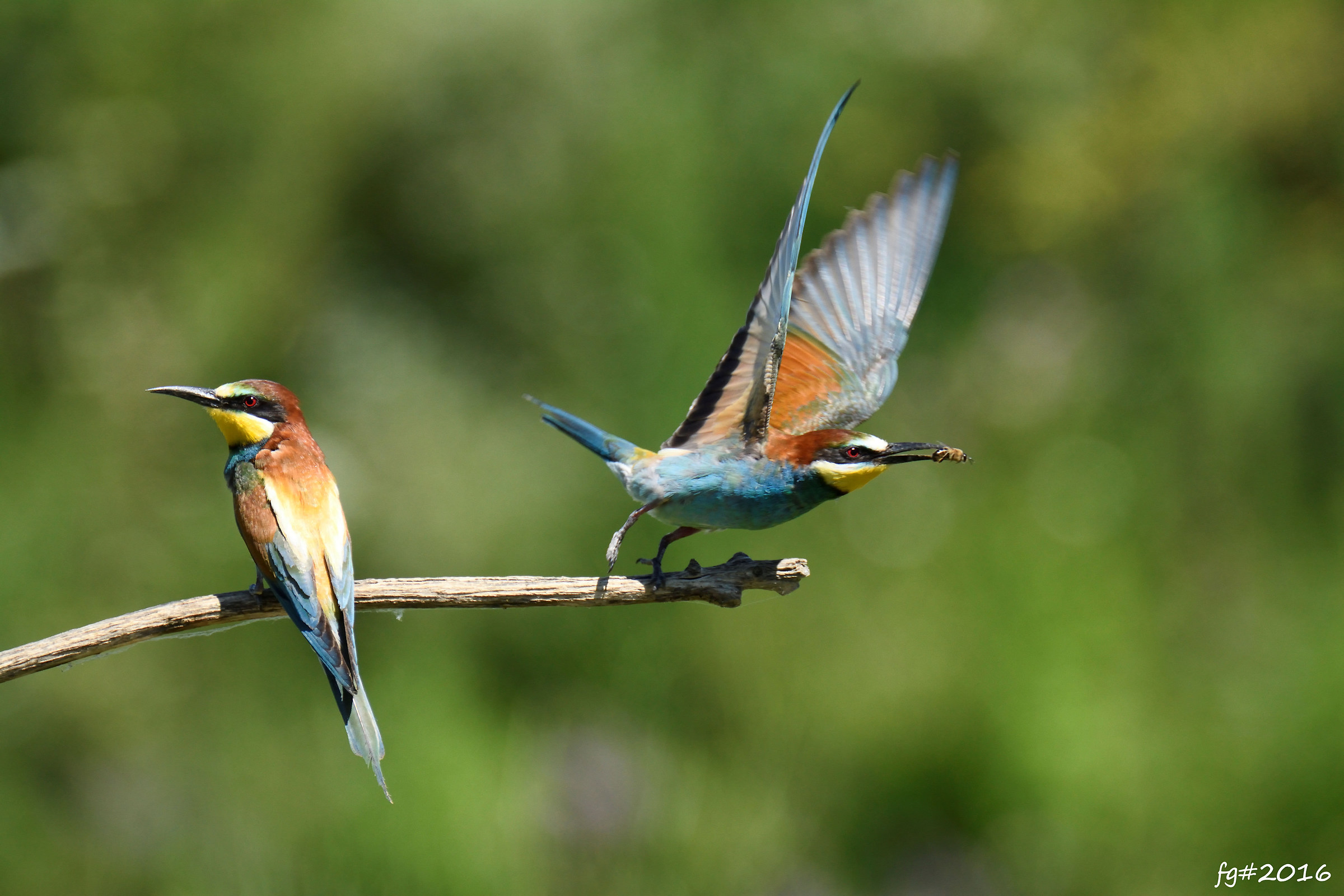 ... I eat something on the fly ...