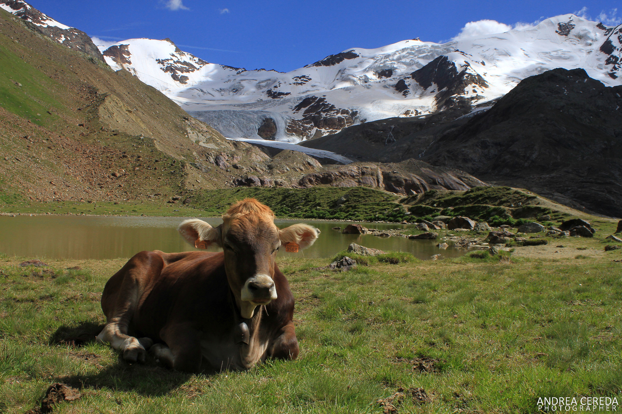Estate al Ghiacciaio dei Forni