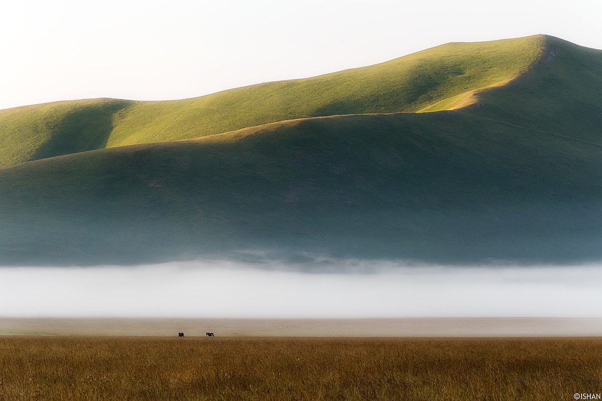 The dawn tranquility