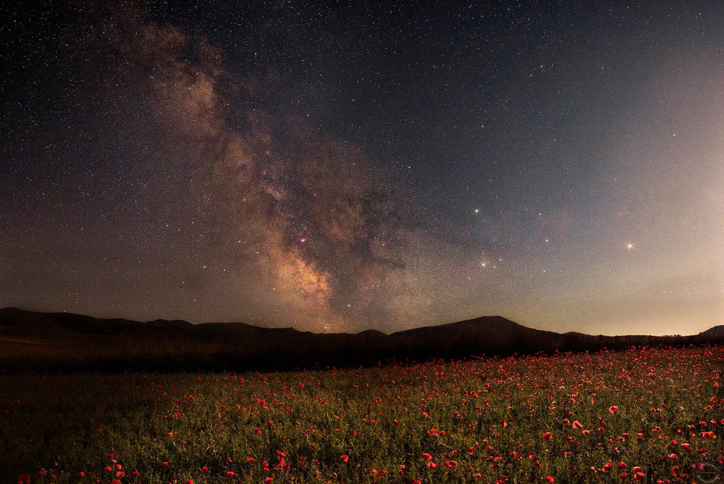 The Milky Way among the flowers ..