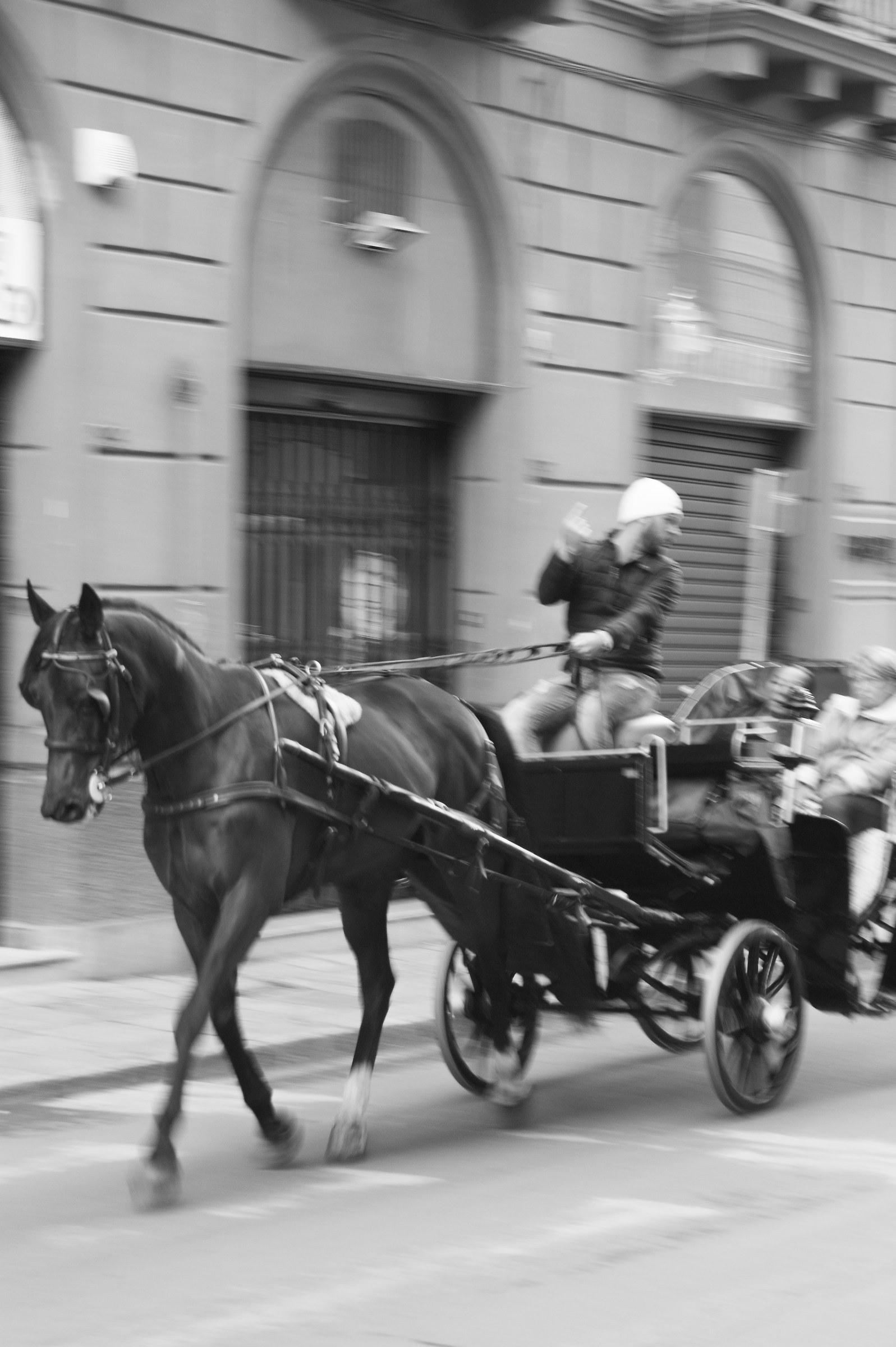Tourists in carriages