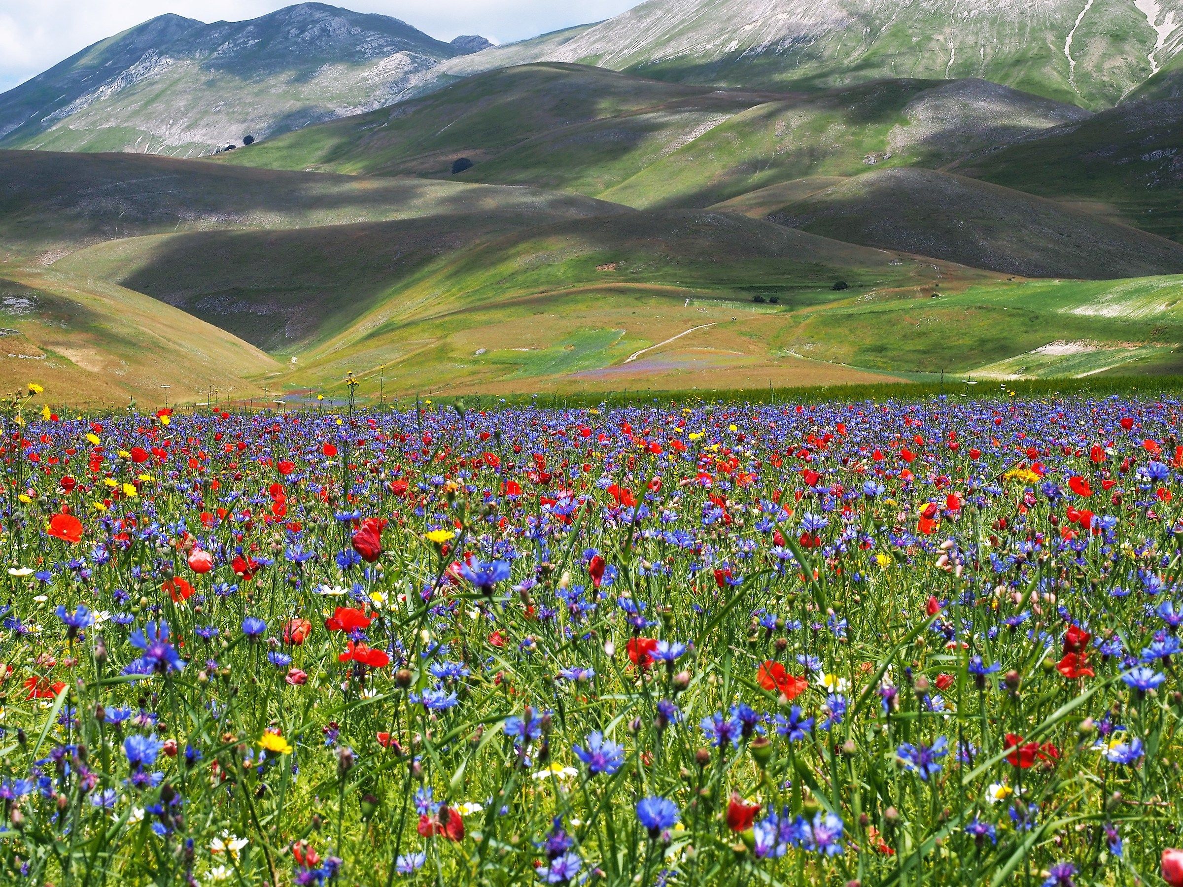 lights, shadows, colors