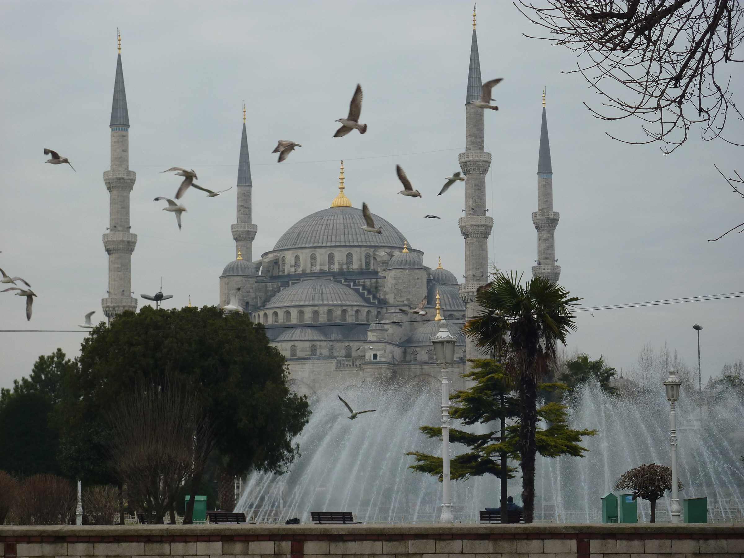 Istanbul_Moschea blue