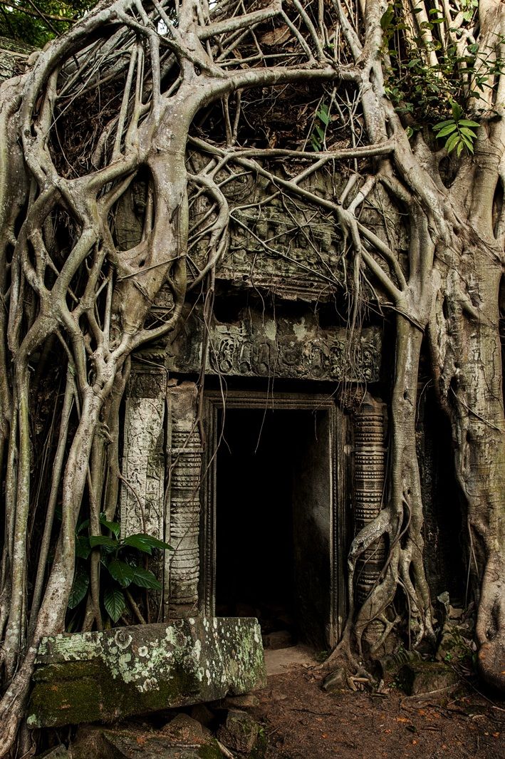 Ta Prohm