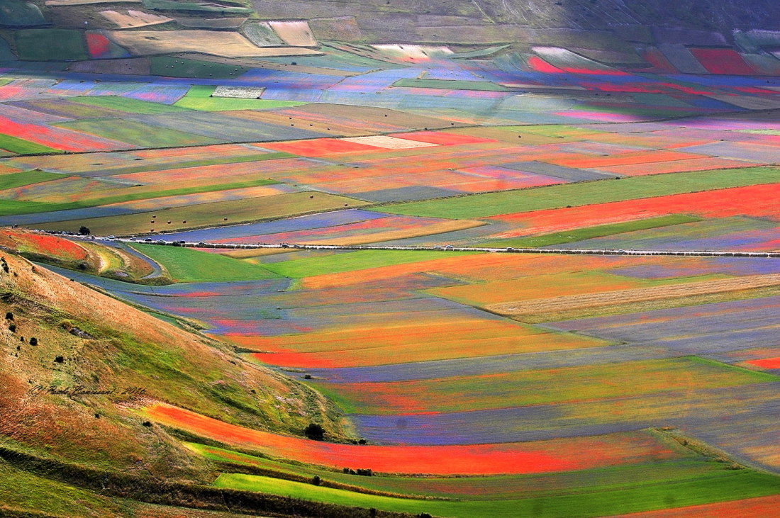 colori di castelluccio-2