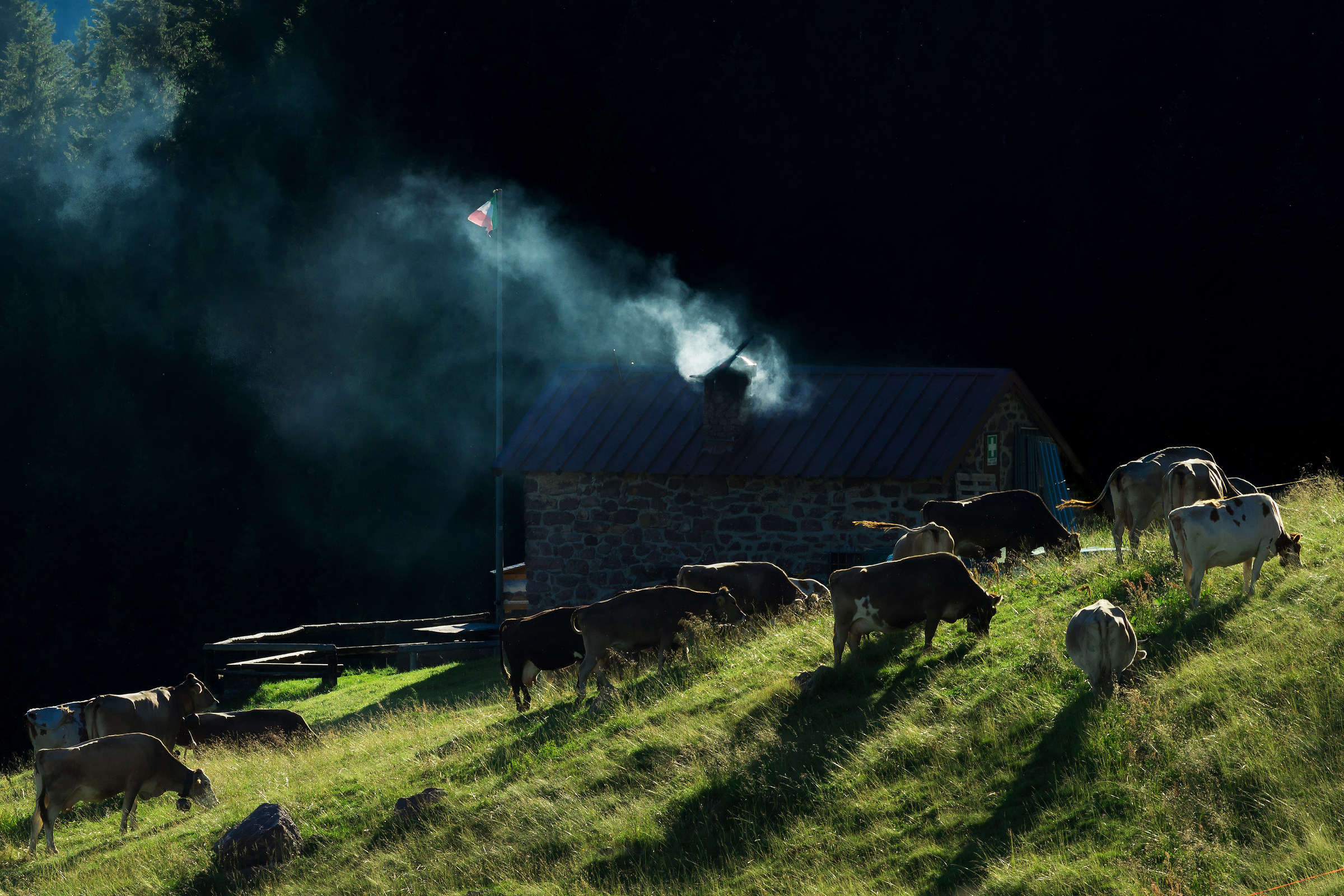 escape from the city