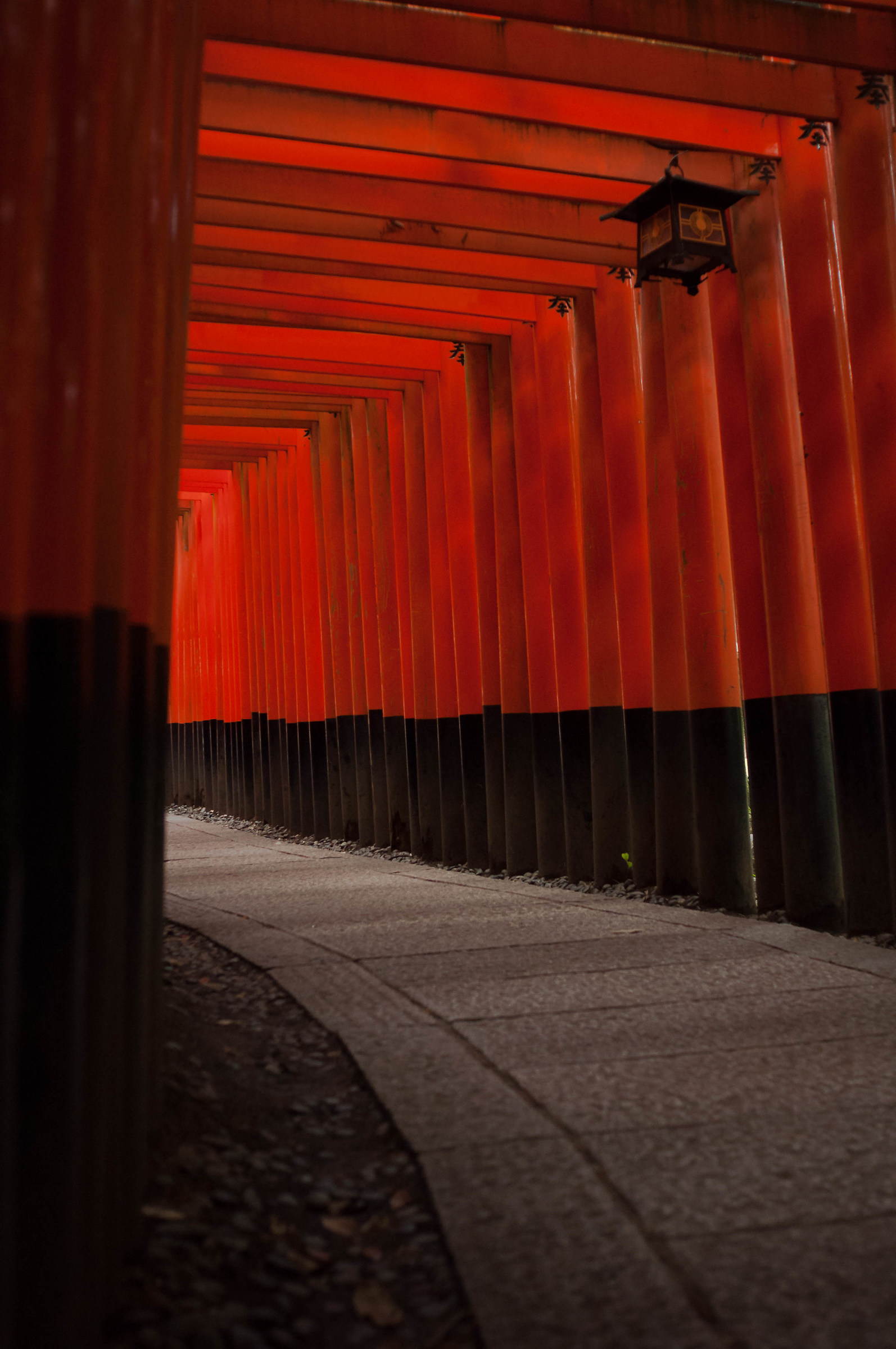 Fushimi Inari-Taisha - Il sentiero dei Mille Torii