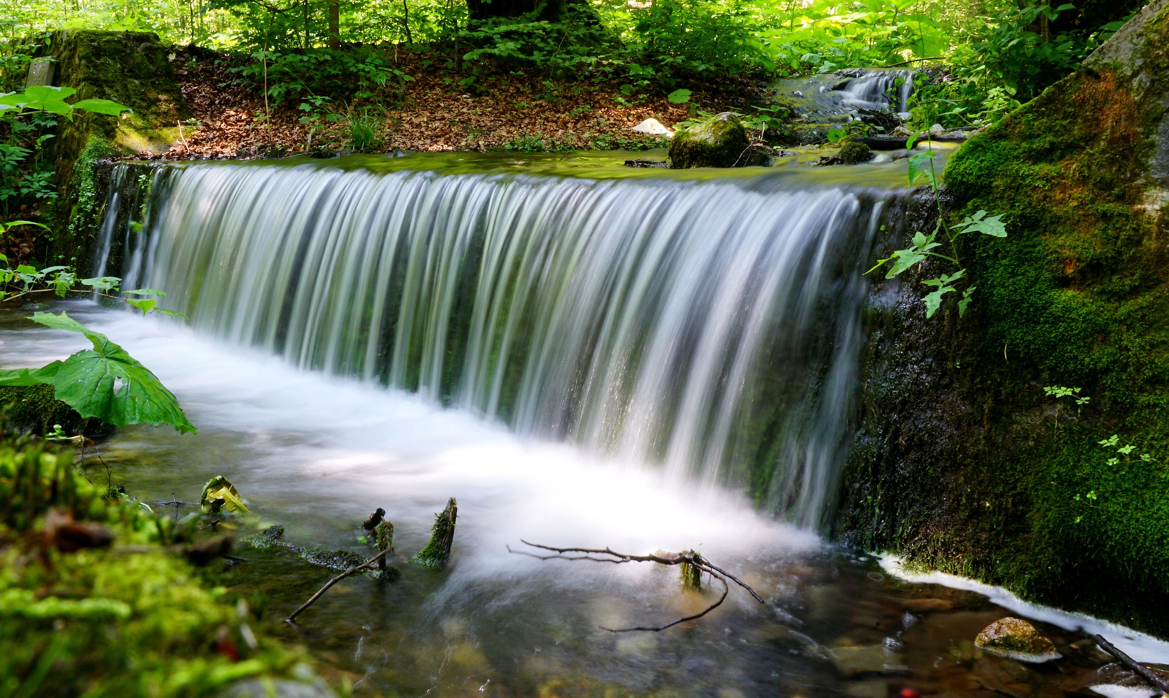 My first silky water :-)
