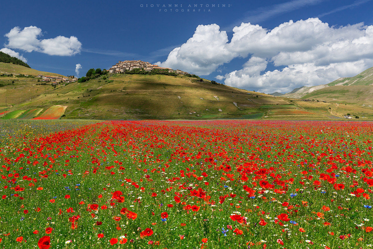 Castelluccio 2016