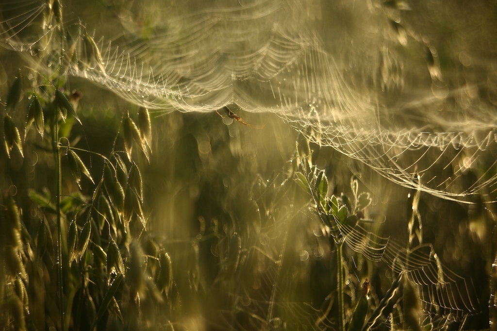 The day will be hot.