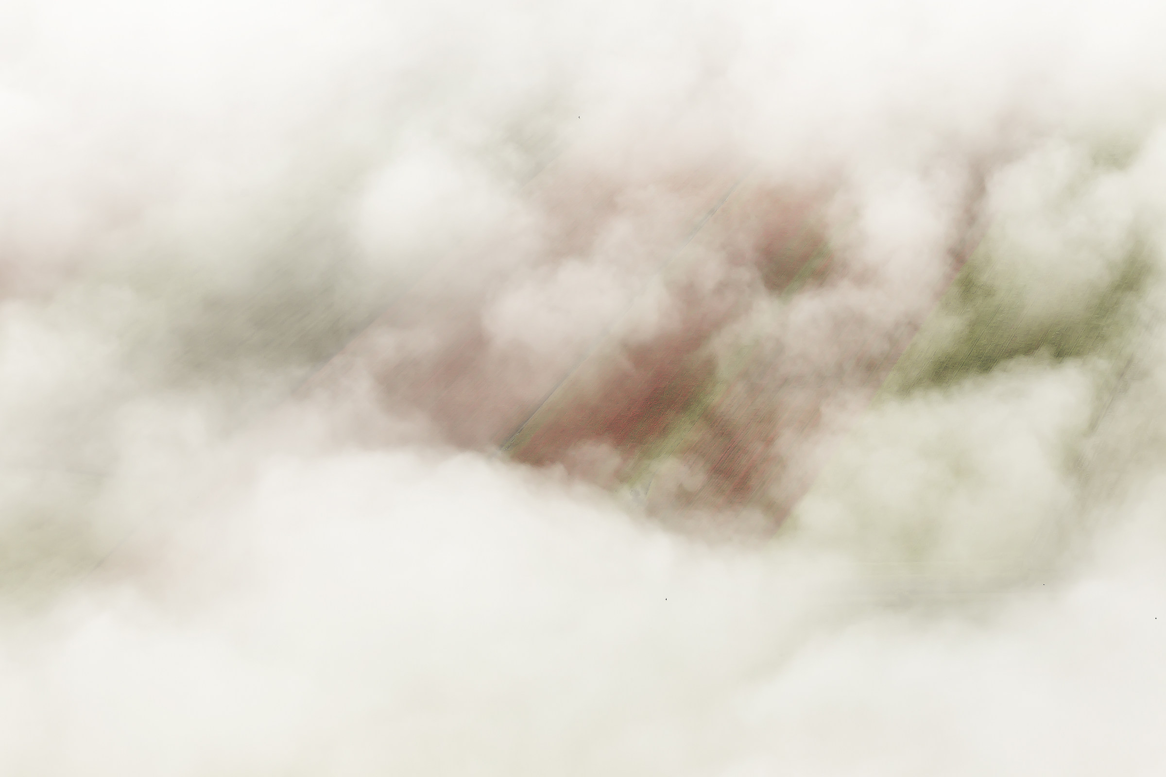 08,07,2016 Castelluccio