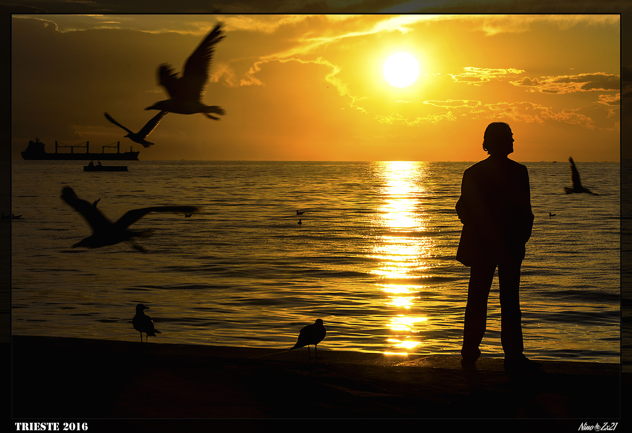 ..of blacks birds, com'esuli thoughts in twilight migrar