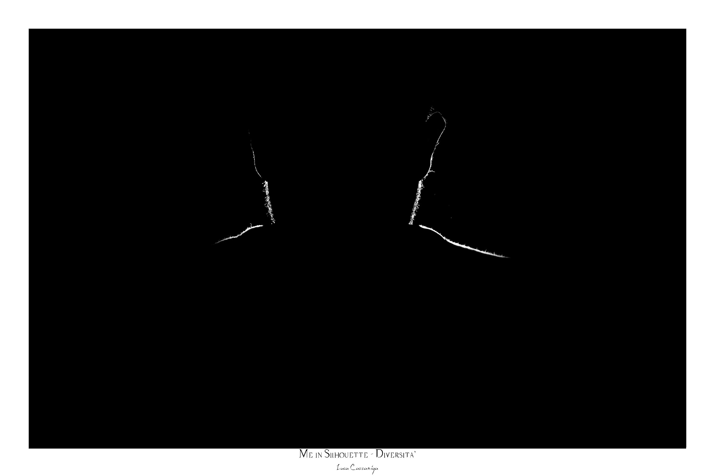 Me In Silhouette  - Diversità