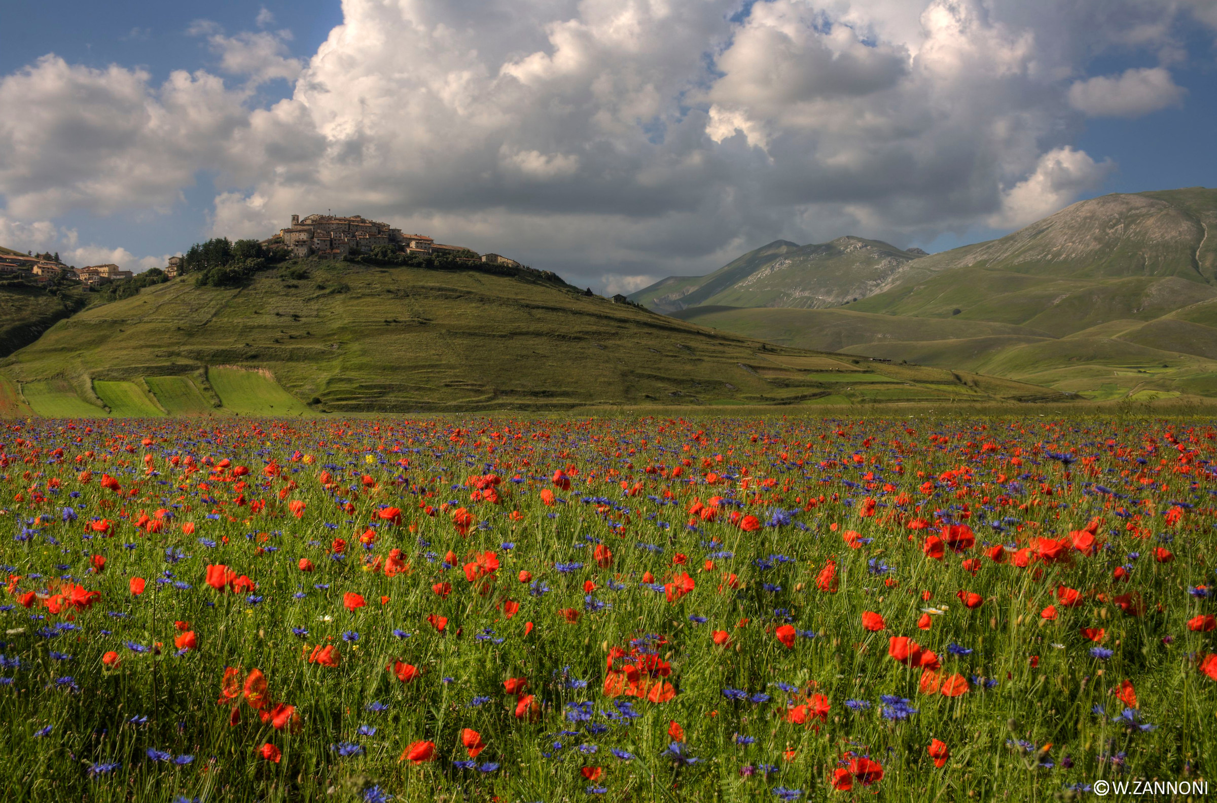 Immersed in the plain