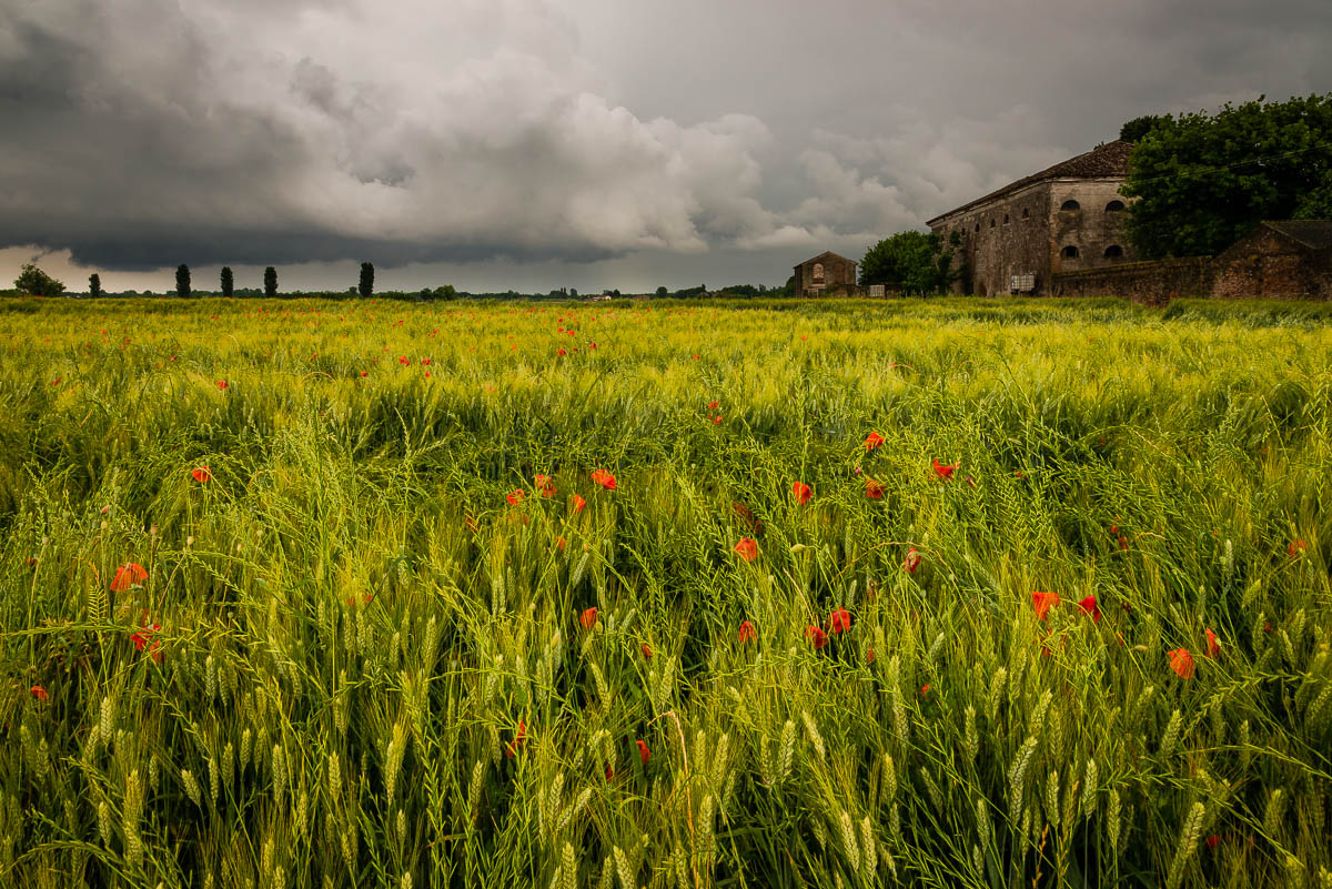 La quiete prima della tempesta