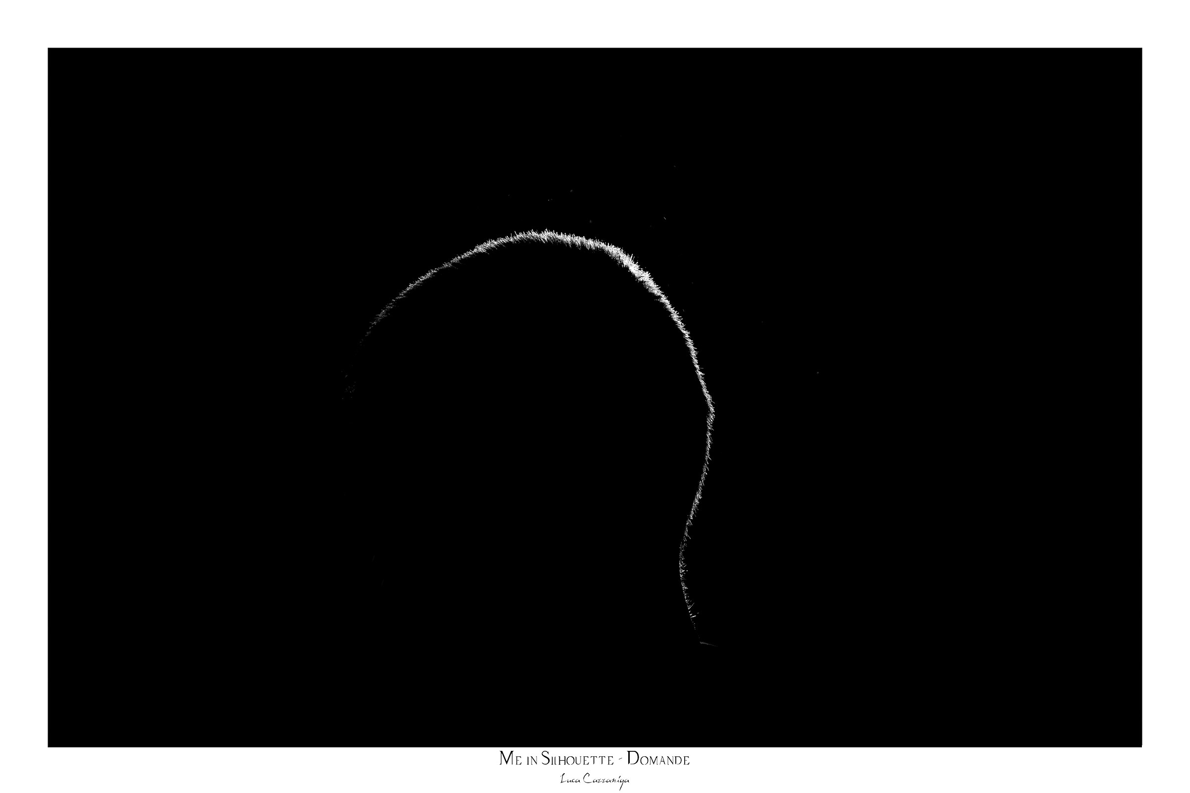 Me In Silhouette - Domande