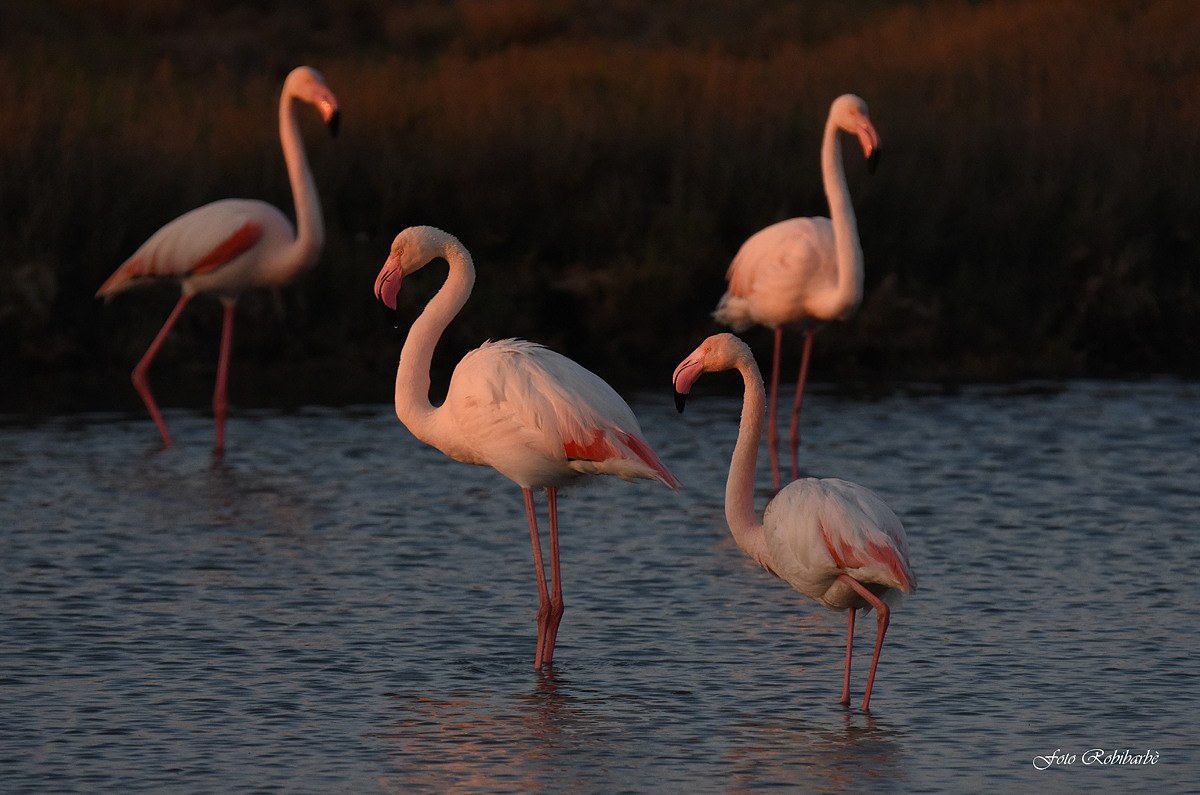 Una magica atmosfera...