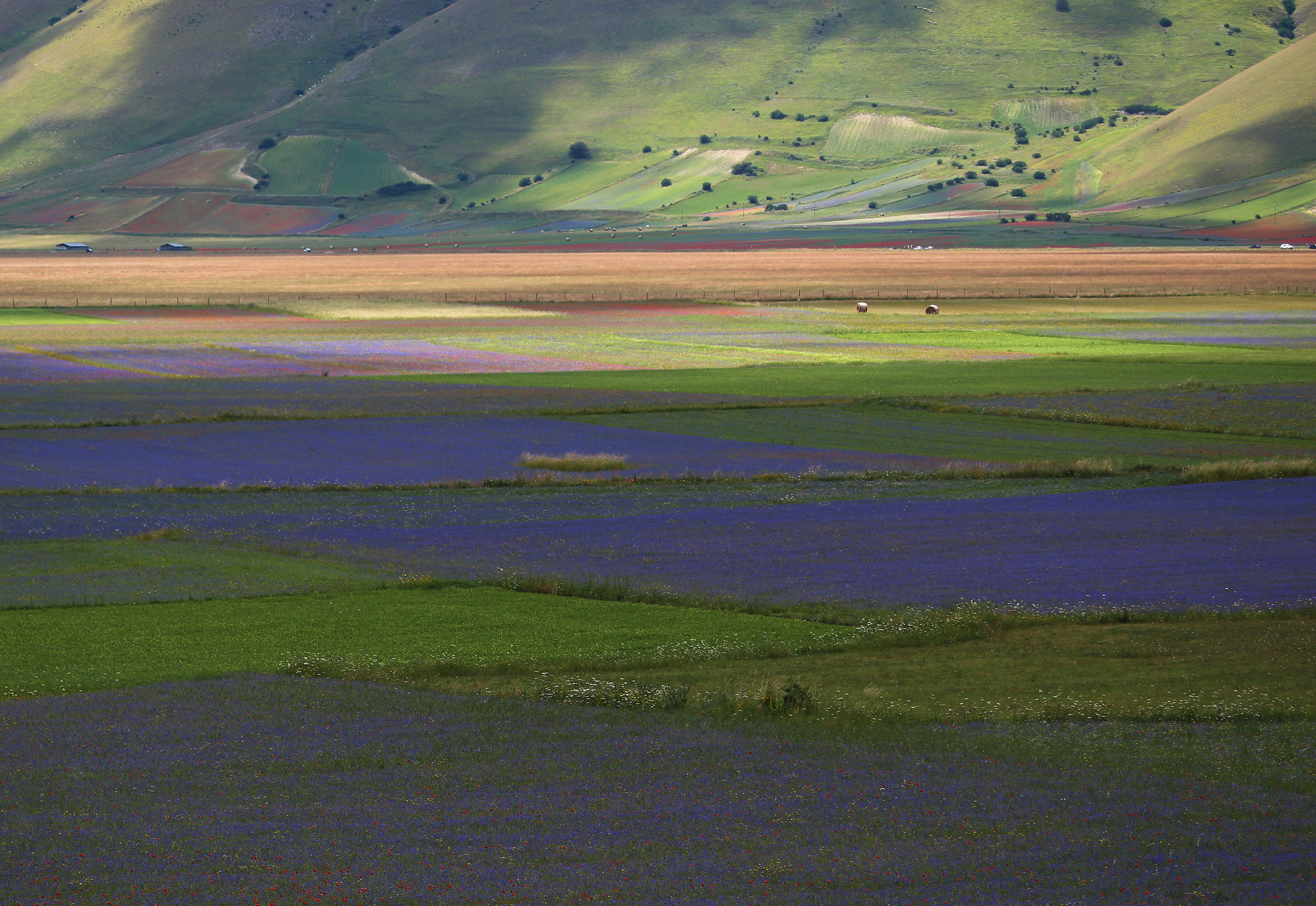 Azzurra tra ombre e luce