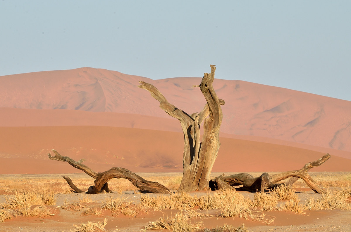 Sossusvlei, Namibia