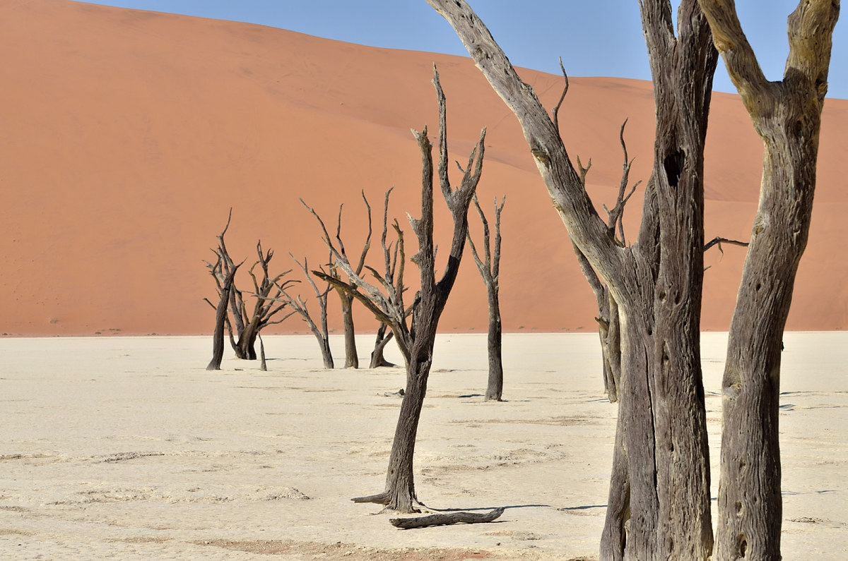 Dead Vlei, Namibia