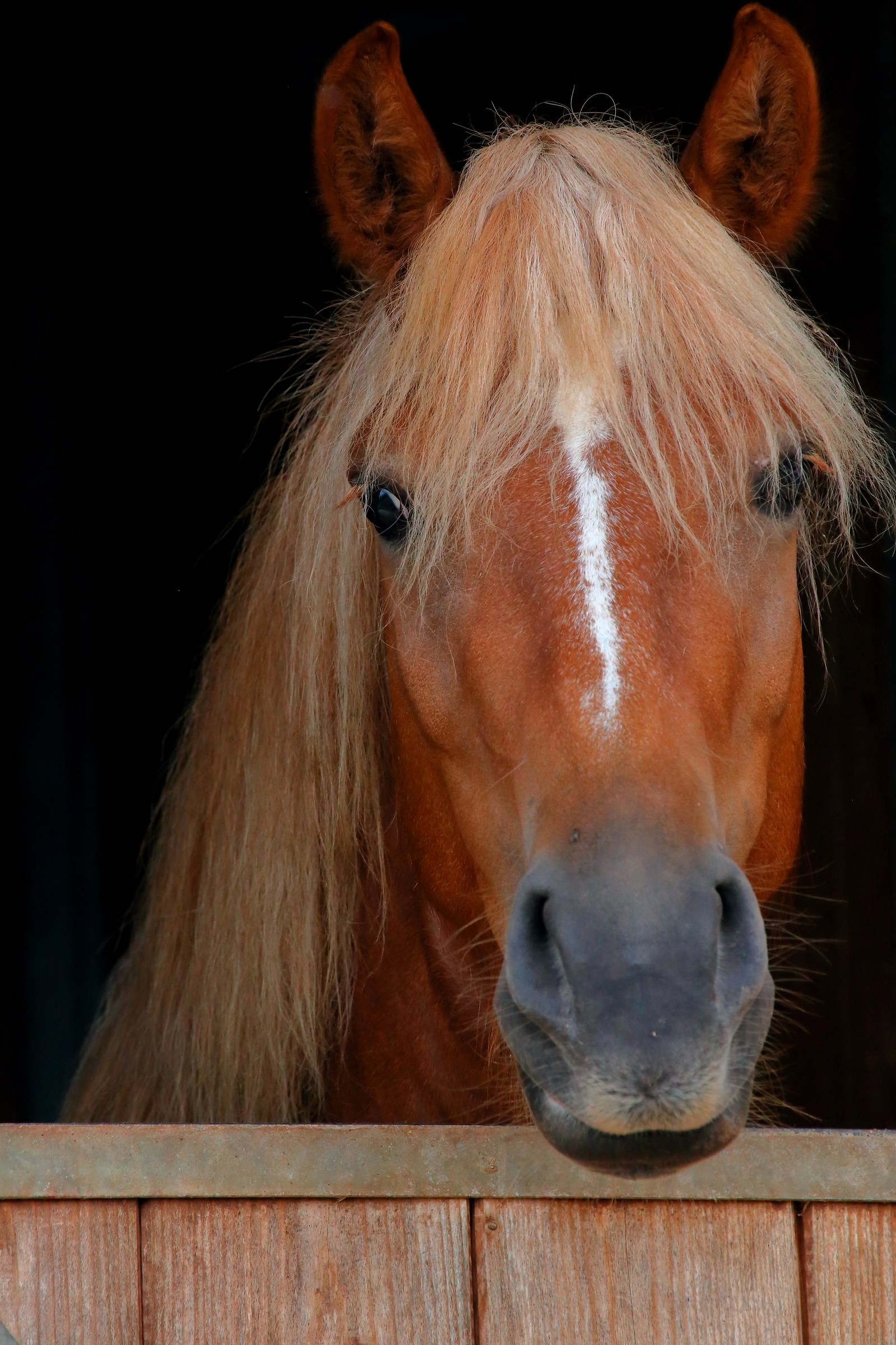 What beautiful straight hair !!!!!