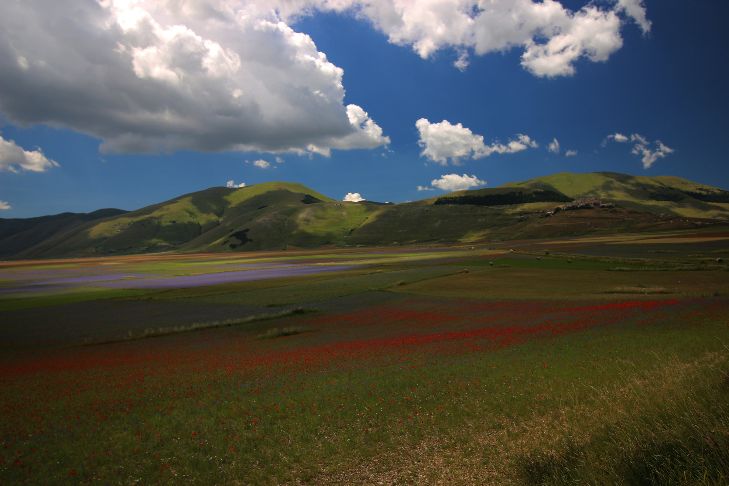 Il cielo sopra i colori