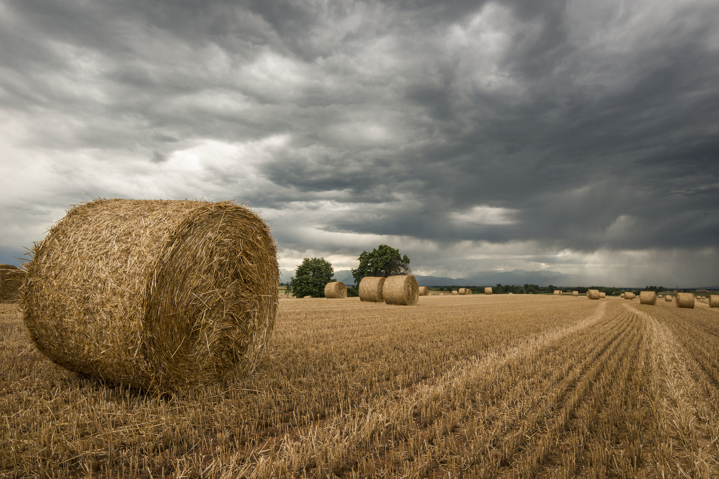 It is expected the storm!