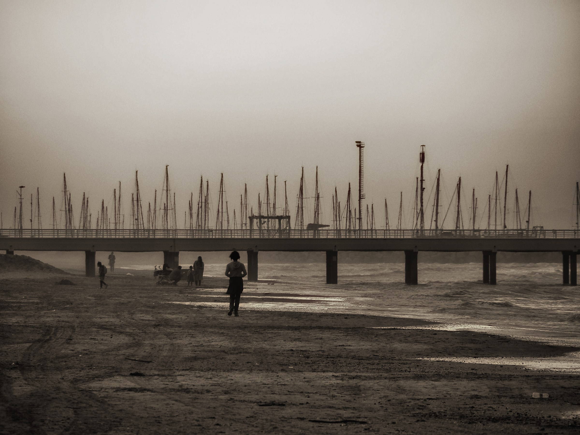 The pier in the morning