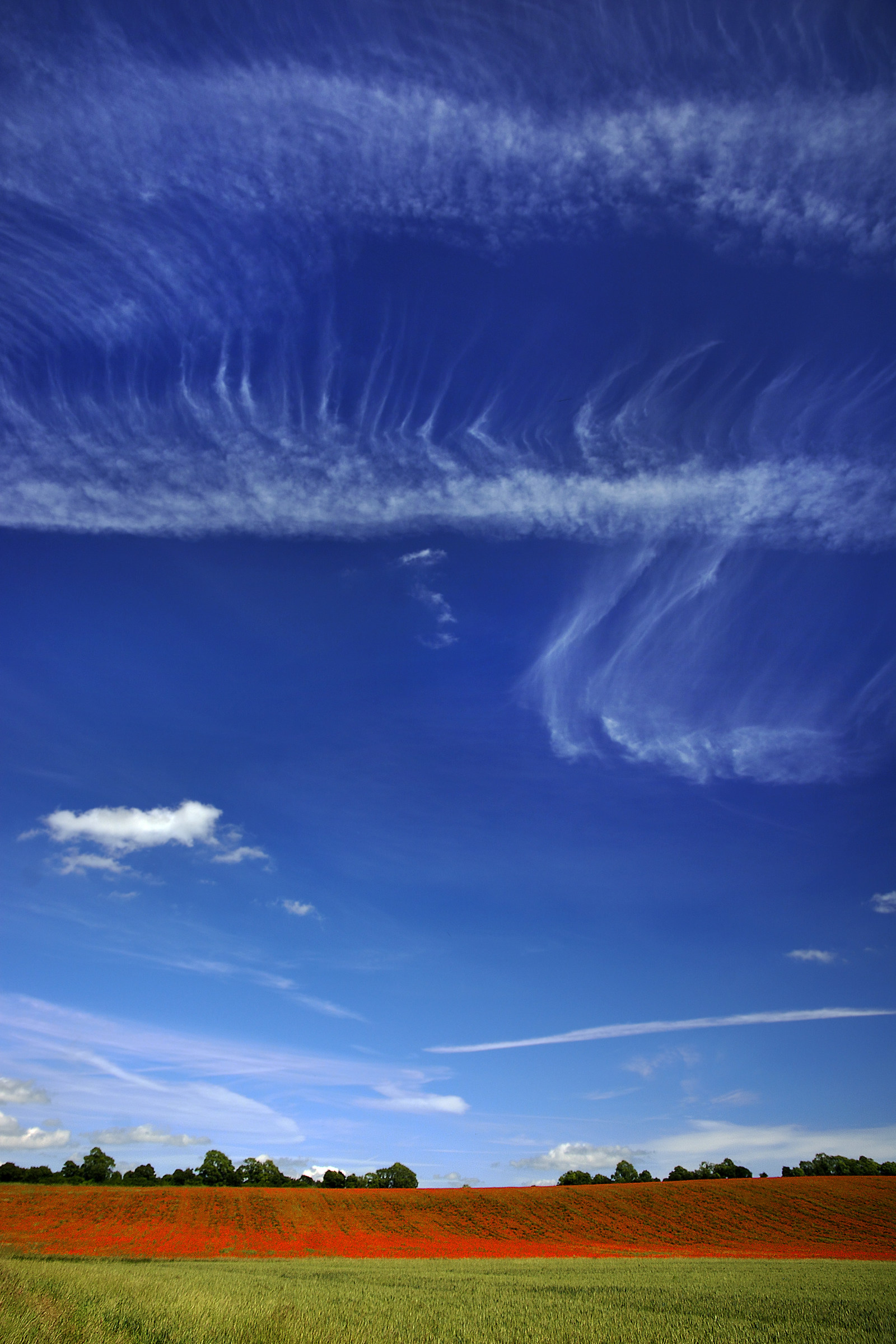 Red, Green & Blue - 2