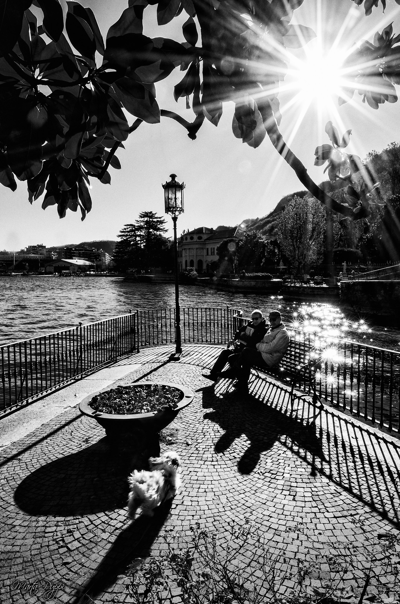 Una mattina sul lago di Como...