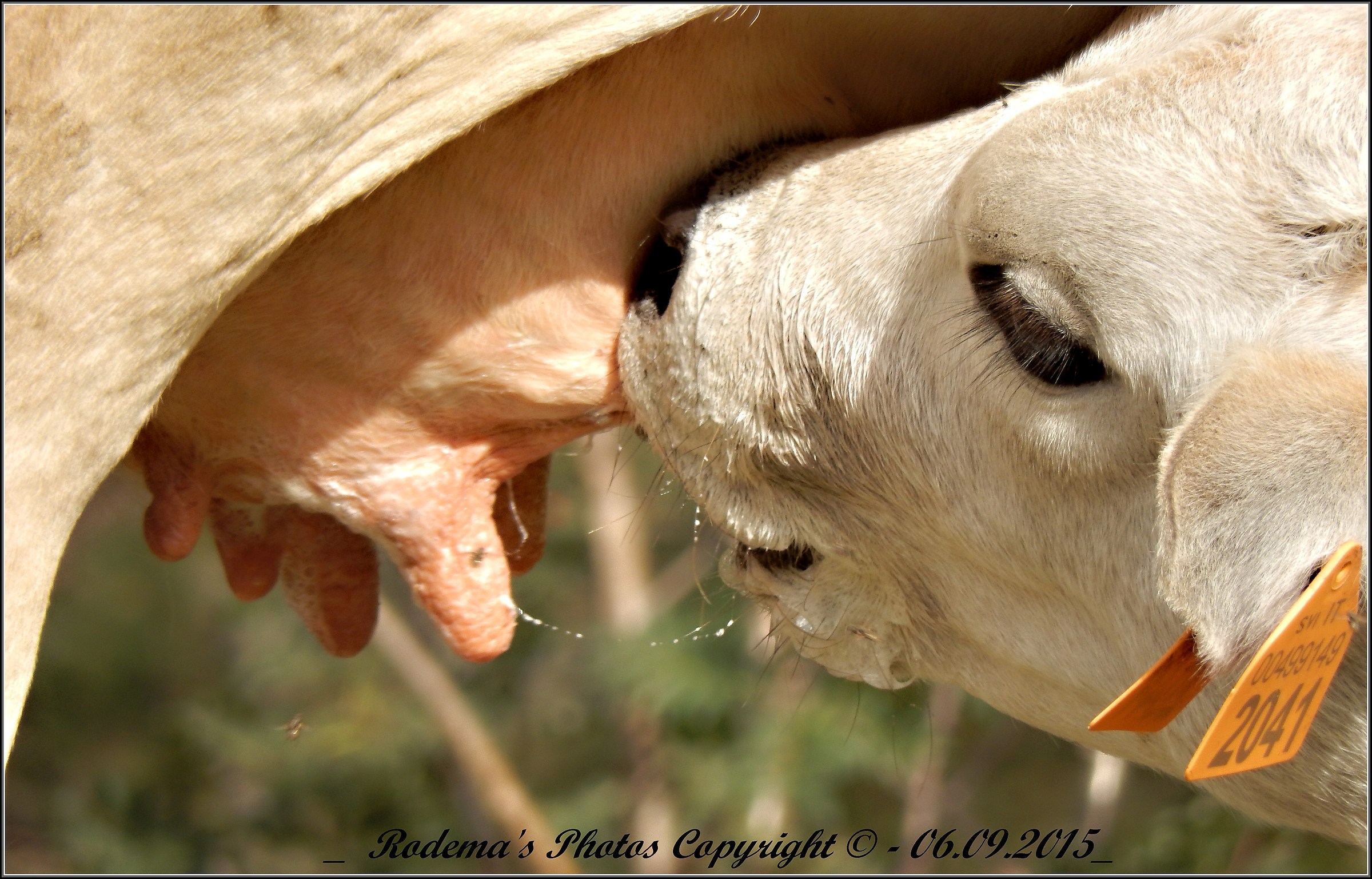 .... You mangiaaaaa !!